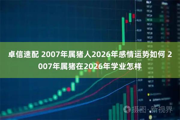 卓信速配 2007年属猪人2026年感情运势如何 2007年属猪在2026年学业怎样